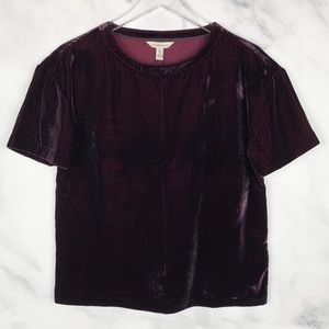 🔥NWT Calvin Klein Velvet Oversized Boxy Tee Boho